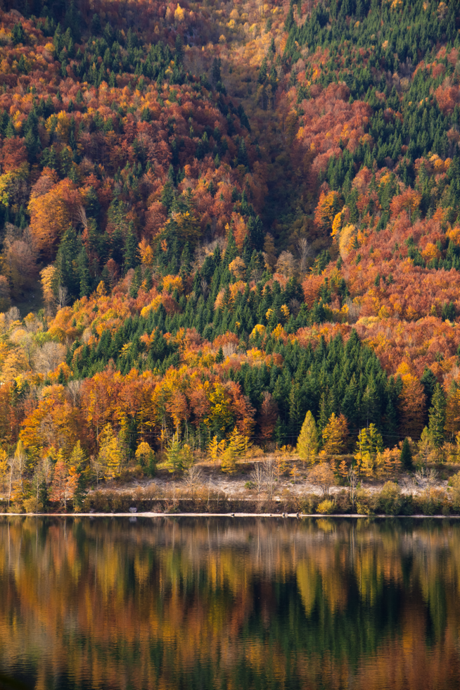 Golden autumn at Grundlsee, Austria